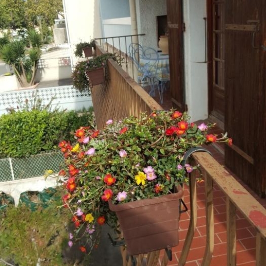  KIOSK TRANSACTIONS : Appartement | PERPIGNAN (66000) | 90 m2 | 139 000 € 