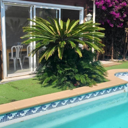  KIOSK TRANSACTIONS : House | BAHO (66540) | 165 m2 | 282 000 € 