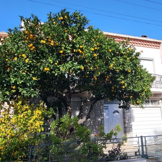  KIOSK TRANSACTIONS : House | PERPIGNAN (66000) | 115 m2 | 199 000 € 