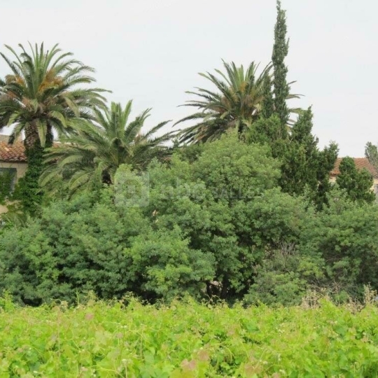 KIOSK TRANSACTIONS : Domaines / Propriétés | SALEILLES (66280) | 500.00m2 | 1 050 000 € 