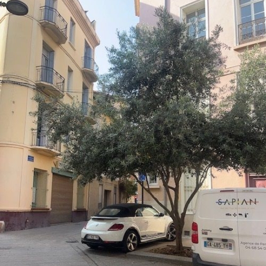  KIOSK TRANSACTIONS : Appartement | PERPIGNAN (66000) | 72 m2 | 66 000 € 