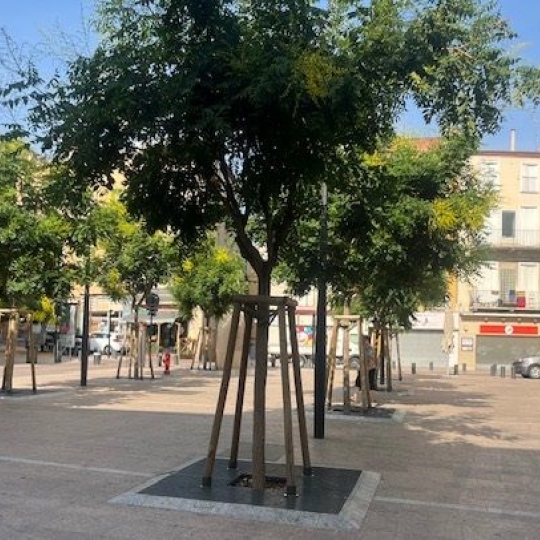  KIOSK TRANSACTIONS : Appartement | PERPIGNAN (66000) | 72 m2 | 66 000 € 