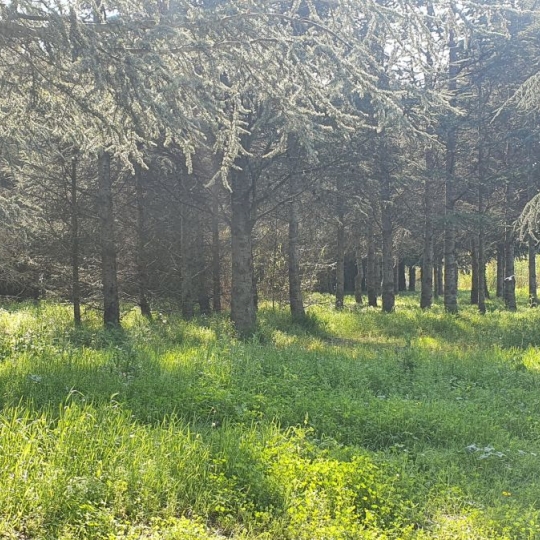  KIOSK TRANSACTIONS : Domain / Estate | VILLENEUVE-LA-RIVIERE (66610) | 1 000 m2 | 955 000 € 