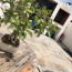  KIOSK TRANSACTIONS : Maison / Villa | VILLENEUVE-DE-LA-RAHO (66180) | 114 m2 | 410 000 € 