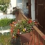  KIOSK TRANSACTIONS : Appartement | PERPIGNAN (66000) | 90 m2 | 139 000 € 