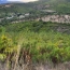  SUD MEDITERRANEE IMMOBILIER : Domaines / Propriétés | THUIR (66300) | 150 m2 | 903 000 € 