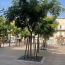  KIOSK TRANSACTIONS : Appartement | PERPIGNAN (66000) | 72 m2 | 66 000 € 