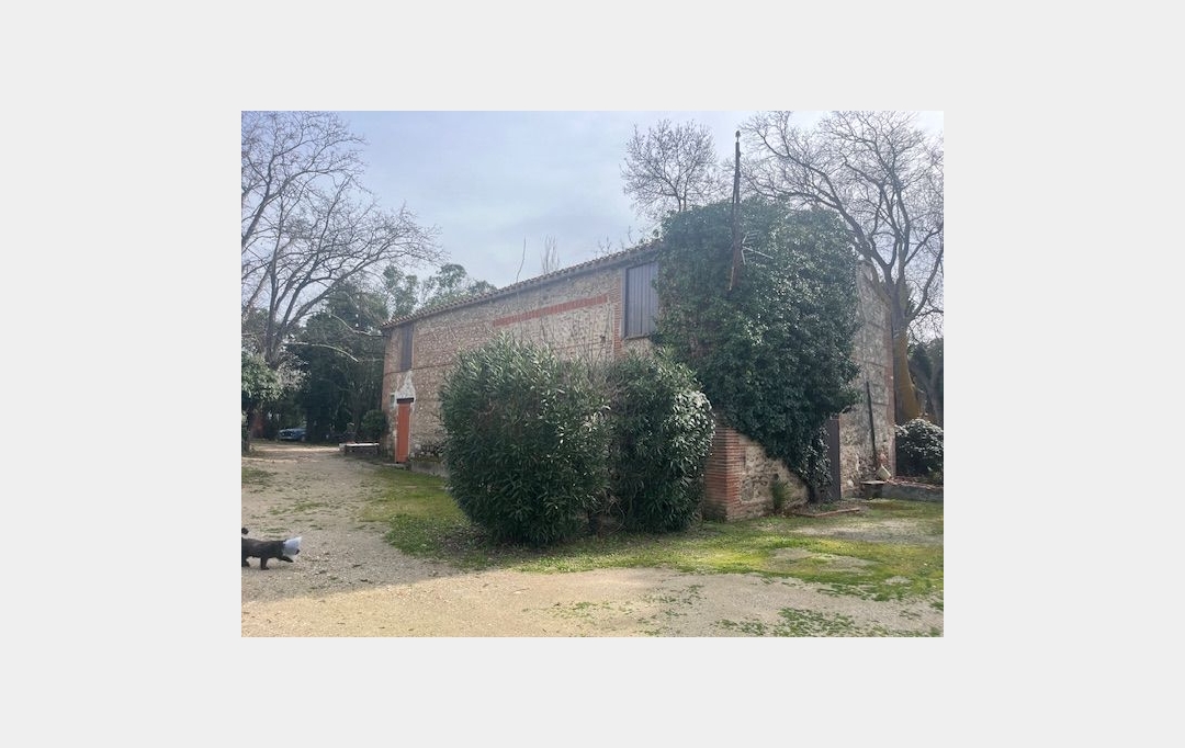 KIOSK TRANSACTIONS : Domaines / Propriétés | SALEILLES (66280) | 500 m2 | 1 050 000 € 