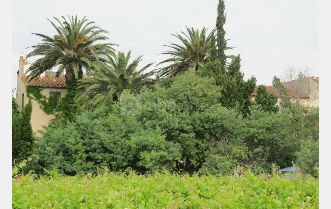KIOSK TRANSACTIONS : Domaines / Propriétés | SALEILLES (66280) | 500 m2 | 1 050 000 € 