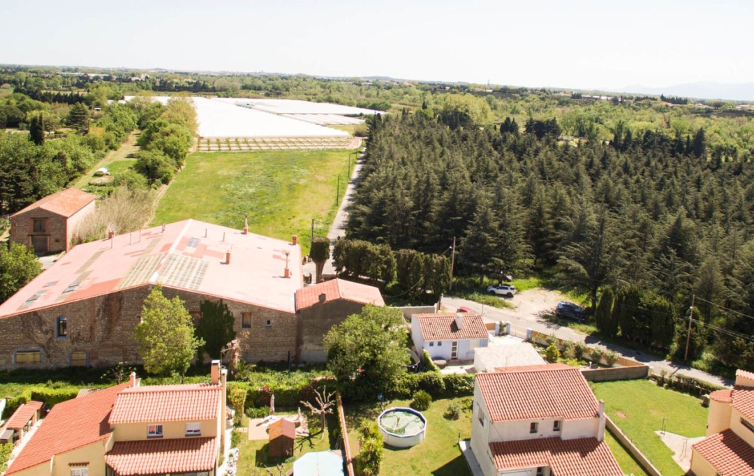 KIOSK TRANSACTIONS : Domain / Estate | VILLENEUVE-LA-RIVIERE (66610) | 1 000 m2 | 955 000 € 
