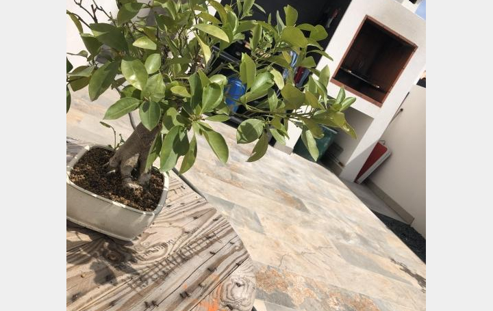 KIOSK TRANSACTIONS : Maison / Villa | VILLENEUVE-DE-LA-RAHO (66180) | 114 m2 | 410 000 € 