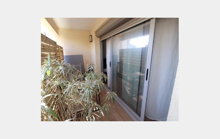 SUD MEDITERRANEE IMMOBILIER : Appartement | CANET-EN-ROUSSILLON (66140) | 35 m2 | 135 000 € 